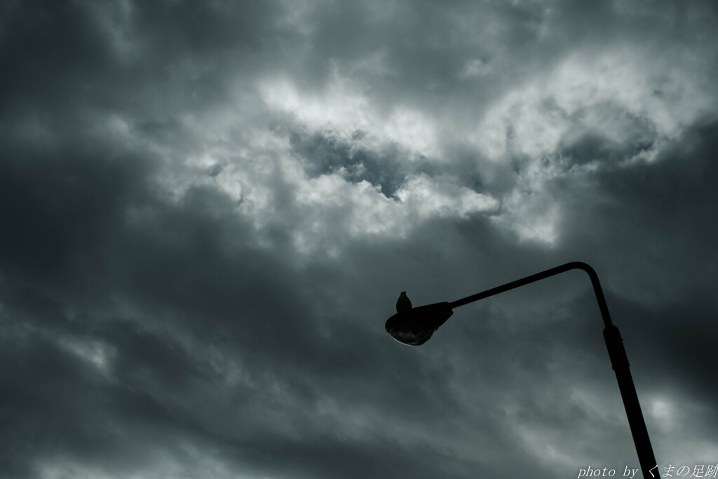 冬空とジョナサン