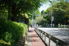 あこがれの道