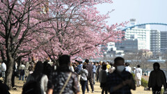 誰にでも春は来る