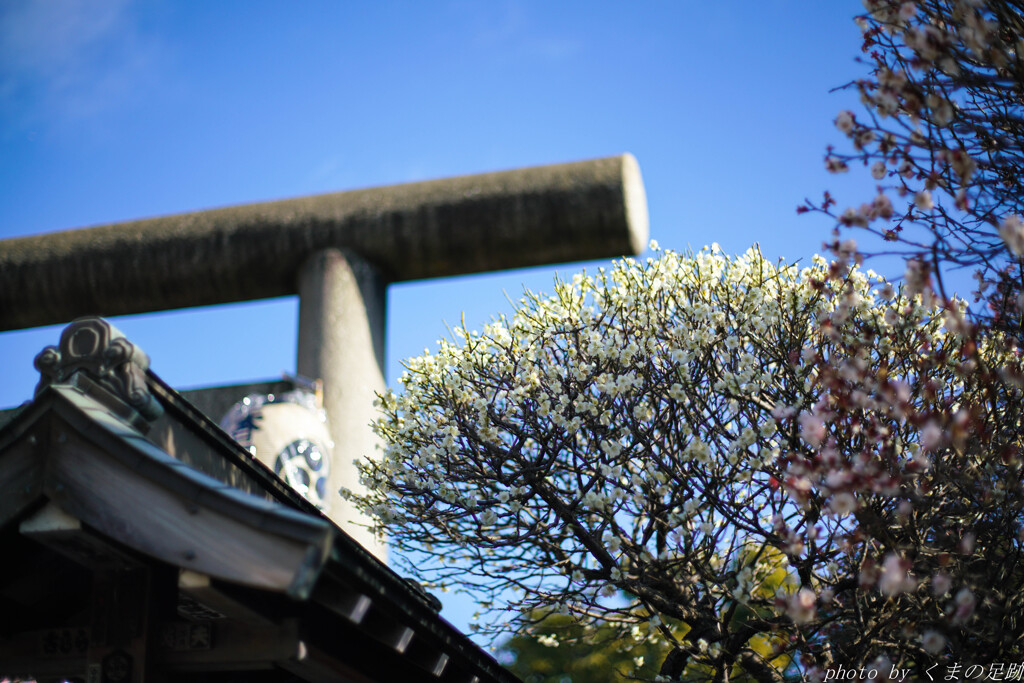 香梅園