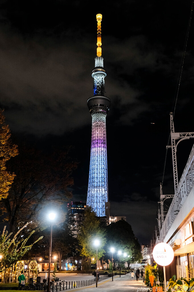 光の塔に導かれ