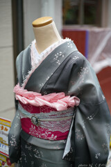 描写を愉しむ