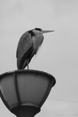 微に入り細に入り