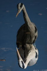 深淵を覗くものは深淵からも覗かれる