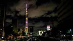 Before the Typhoon