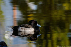 なんか良からぬことを考えていそうな