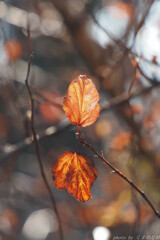 備えなき日々に