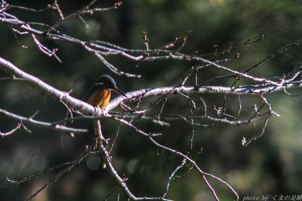 またお会いしましたね