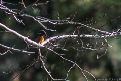 またお会いしましたね