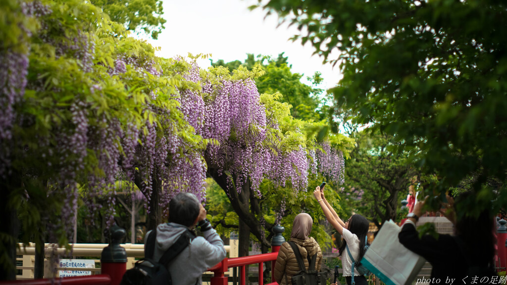 4月23日 天神通信 5