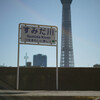 美化