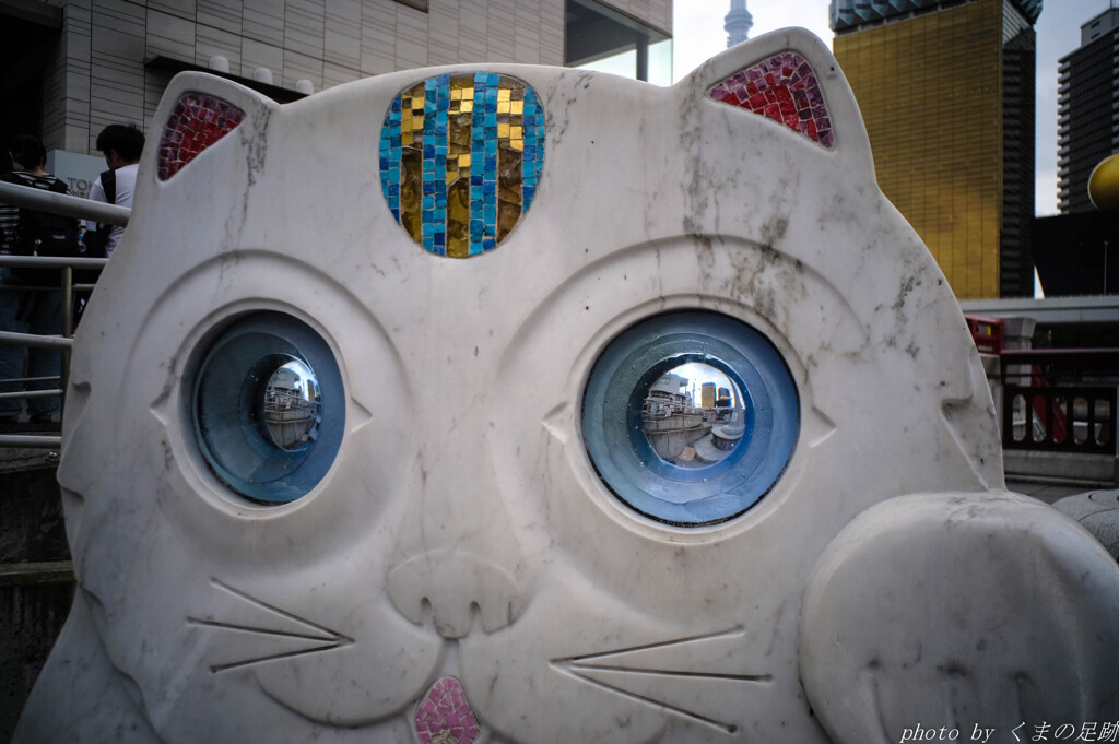 ねこ パ～んち!!