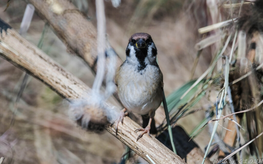 正面から受けて立ちましょう