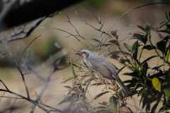 なんだかんだと