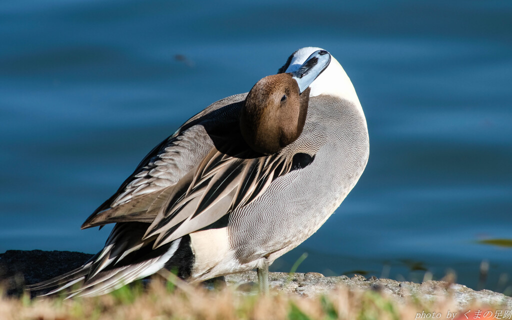 あのぉ～頭がずれていませんか？