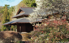 ナンテンは焦点距離だけ