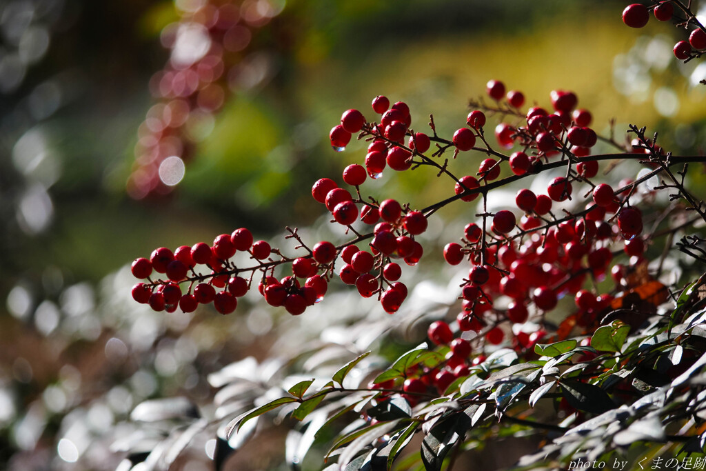 難点は転じてくれるのか