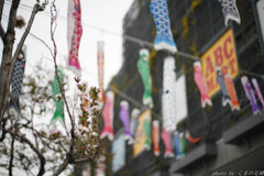 時は進む