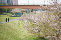 Landscape Ⅴ