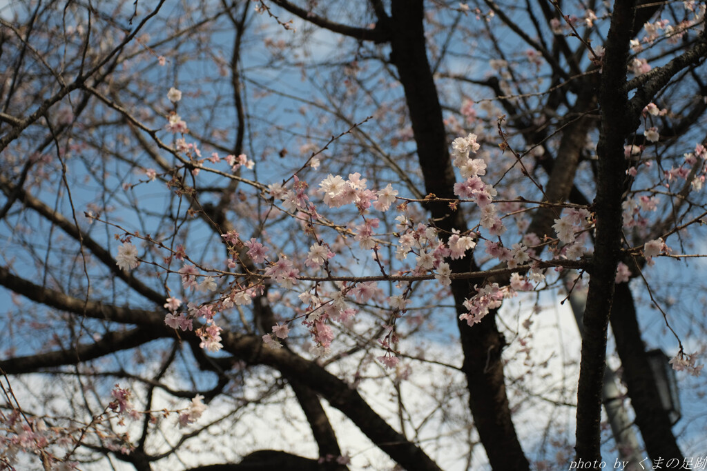 心地よい焦点距離