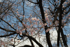 心地よい焦点距離