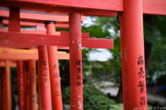 今はこれが一番かな