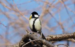 ネクタイ曲がっていますよ