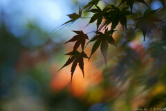 時はさらさら流れていくよ