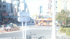 ふわふわと鳥を探して