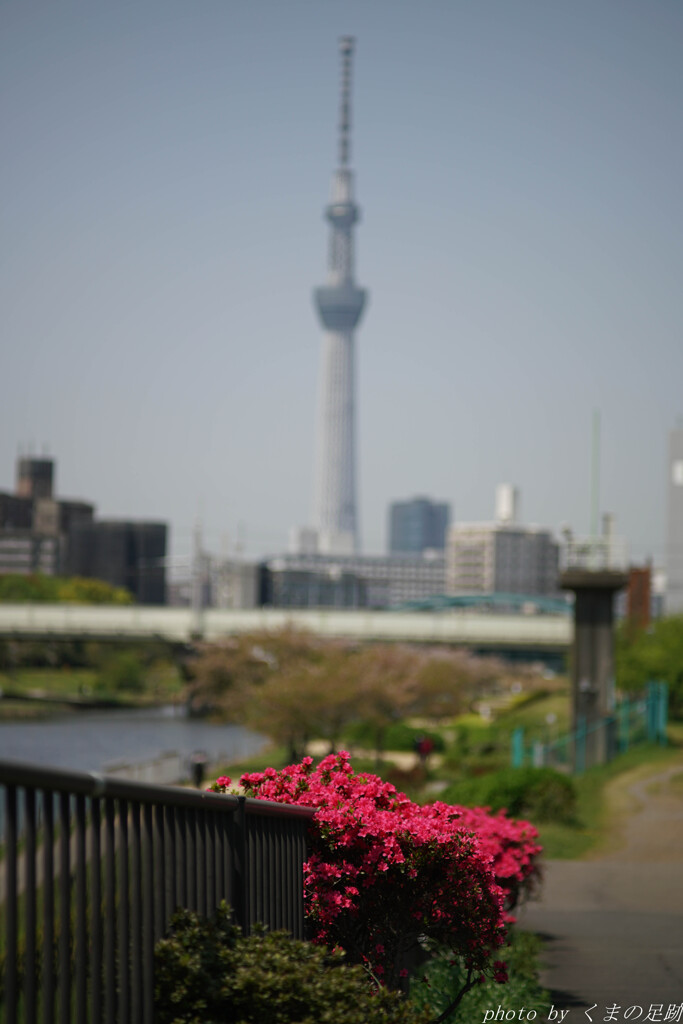 Landscape Ⅱ
