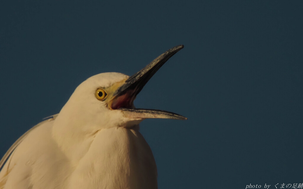 雨よ、降れ～ぇ！！