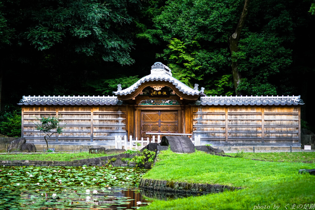 門
