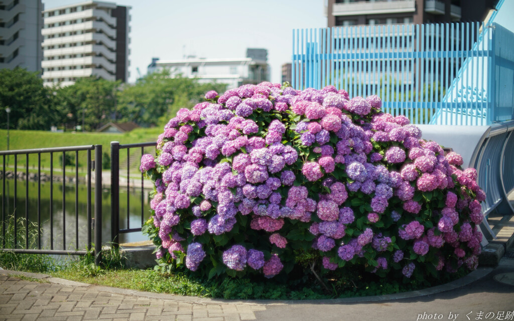 動き出しそう