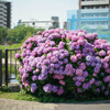 動き出しそう