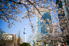 偉観です