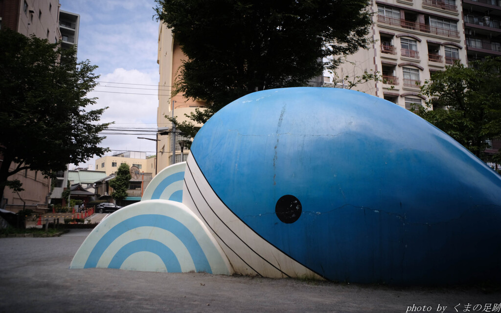 陸クジラ
