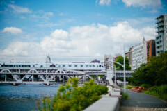 夏の鉄分補給に