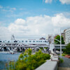 夏の鉄分補給に