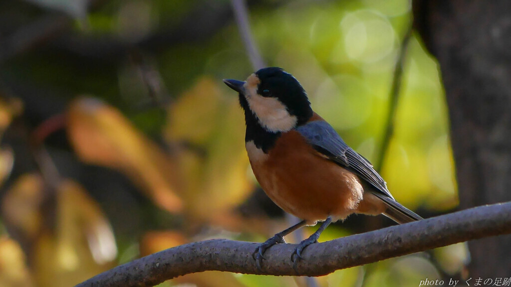 今年も半月を切りました