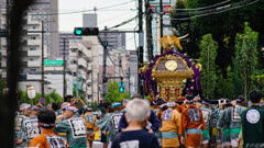祭りだ祭りだ