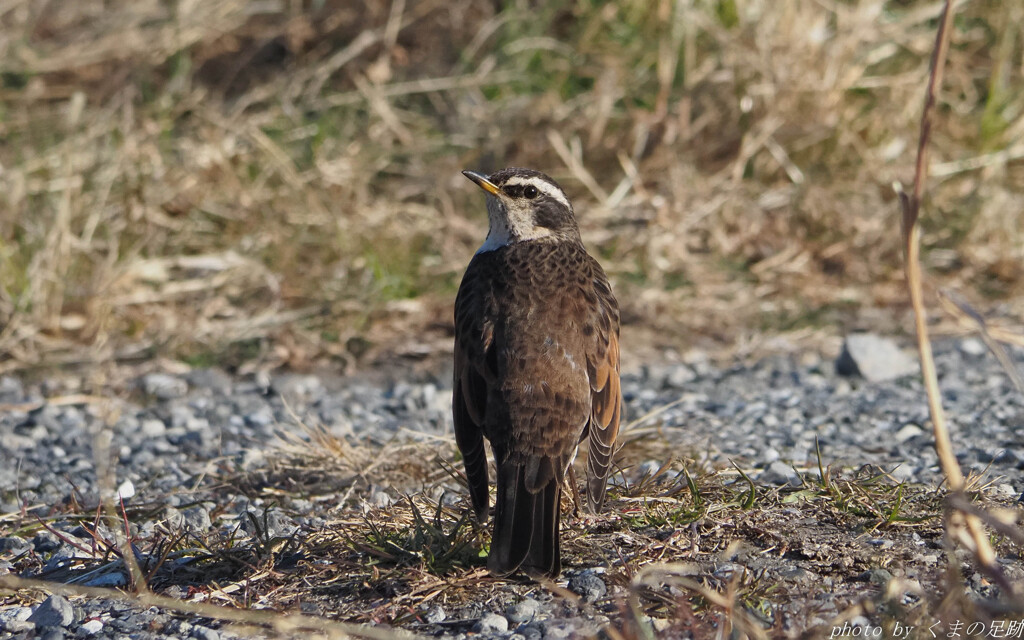 実践 Ⅵ　～振り返れば君がいた～