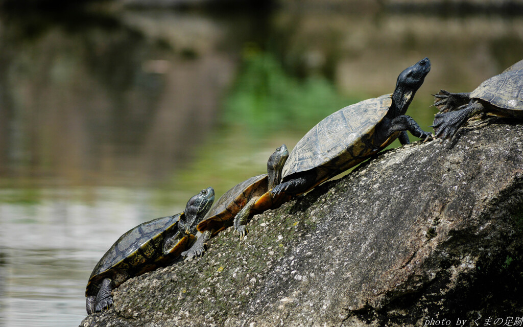 そこに岩があるからさ