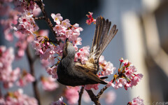 腹筋割れていそう