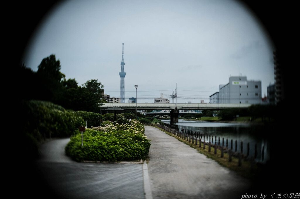 望遠鏡を覗けば：25mm