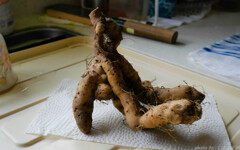 何に見えるかはあなた次第