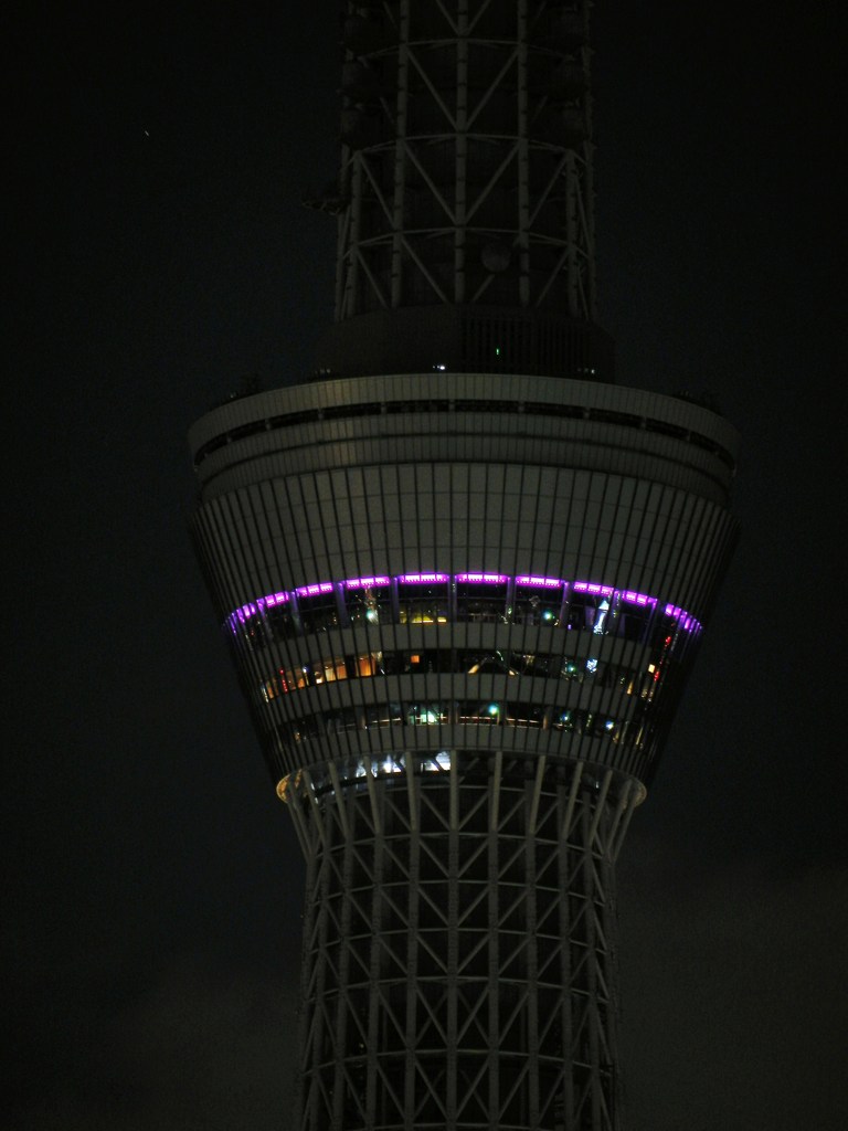 紫の帯