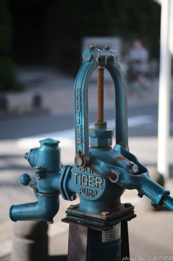 フジの高値に降る気持ち：50ｍｍ