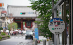 喧騒を遠目に