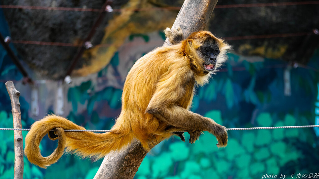 山で会いたくないタイプ