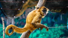 山で会いたくないタイプ